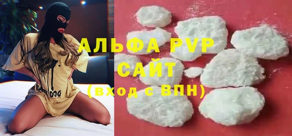 индика Дмитровск