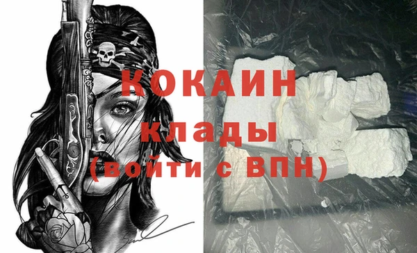 индика Дмитровск