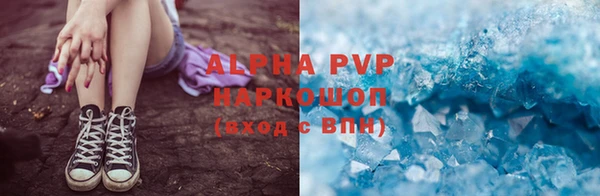 индика Дмитровск