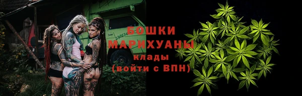 трава Дмитриев