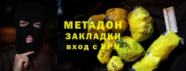 индика Дмитровск