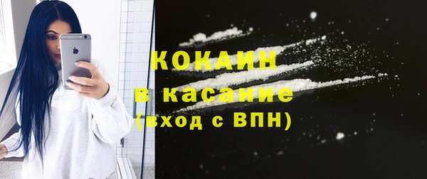 индика Дмитровск