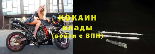 трава Дмитриев