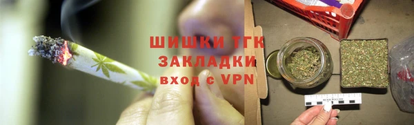 индика Дмитровск