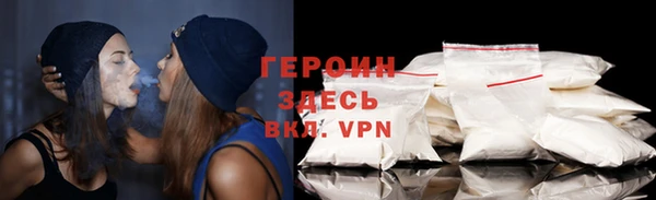 индика Дмитровск