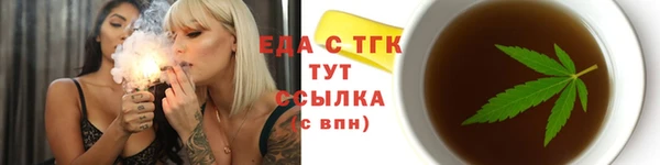 индика Дмитровск