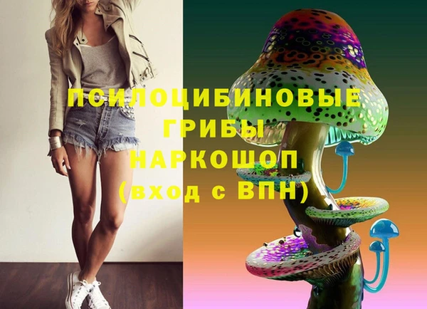 МДПВ Дмитров