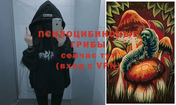 трава Дмитриев