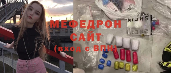 индика Дмитровск